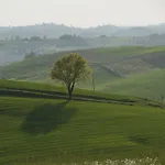 Spinerola Nature Living In Monferrato 호텔 몬칼보