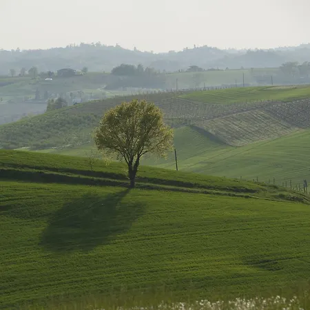 Spinerola Restaurant E Arborea Otel Moncalvo